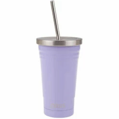 Oasis Double Wall Insulated Tumbler W/Straw