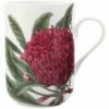 Maxwell And Williams Botanic Mug Telopea 300ml -Avanti Sales Shop S692107 1024x1024