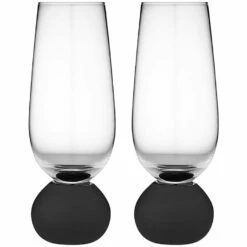 TEMPA Astrid Matte Black Set Of 2 Champagne Glass